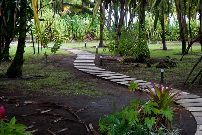 Imagen de los interiores del Hotel Turtle Beach Lodge. Foto 16