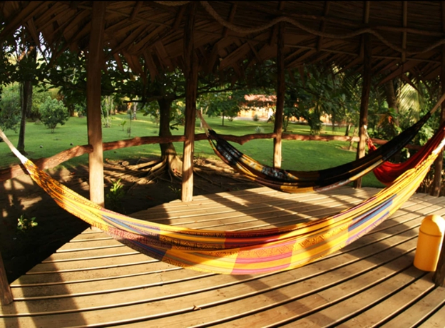 Imagen de los interiores del Hotel Turtle Beach Lodge. Foto 17