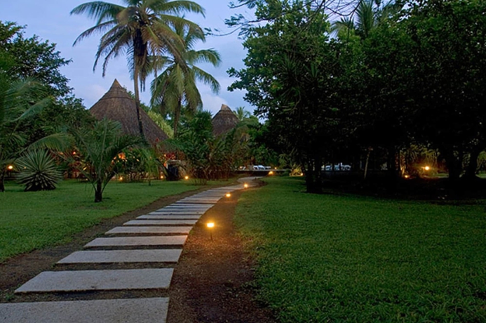 Imagen de los interiores del Hotel Turtle Beach Lodge. Foto 18