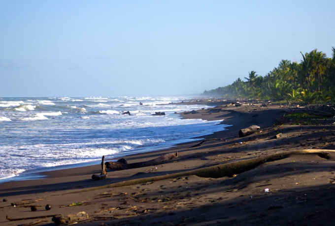 Imagen de los exteriores del Hotel Turtle Beach Lodge. Foto 12