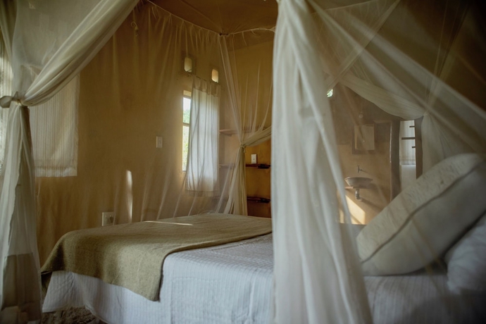 Imagen de la habitación del Hotel Turtle Cove Lodge and Yoga Shala. Foto 1