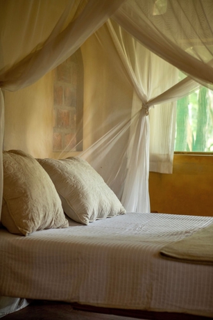 Imagen de la habitación del Hotel Turtle Cove Lodge and Yoga Shala. Foto 2