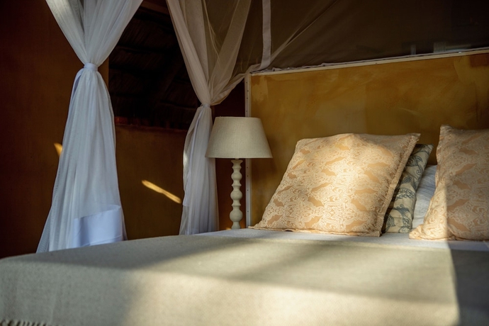 Imagen de la habitación del Hotel Turtle Cove Lodge and Yoga Shala. Foto 3