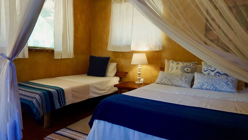 Imagen de la habitación del Hotel Turtle Cove Lodge and Yoga Shala. Foto 18