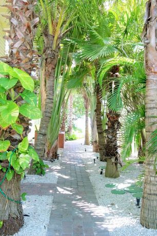 Imagen de los exteriores del Hotel Turtle Crawl Inn. Foto 11