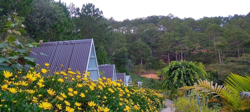 Imagen general del Hotel Tuyet Hoa Hon Bo Bungalow. Foto 1