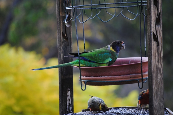 Imagen de los exteriores del Hotel Tweed Valley Lodge. Foto 10