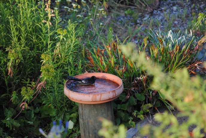 Imagen de los exteriores del Hotel Tweed Valley Lodge. Foto 13