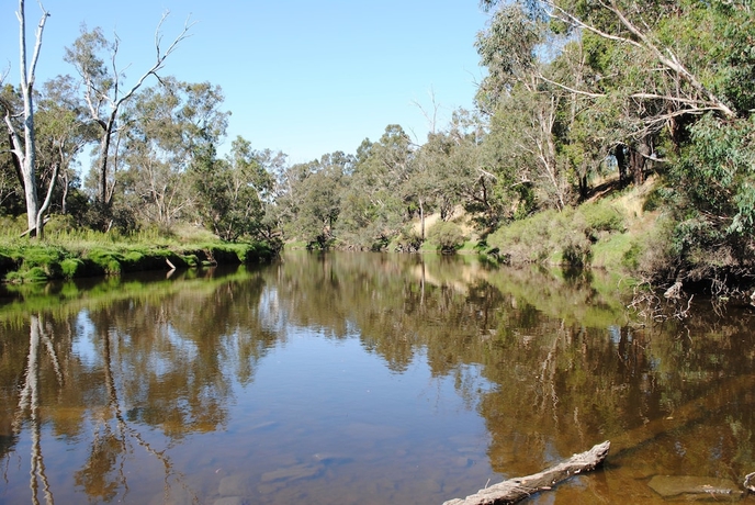 Imagen de los exteriores del Hotel Tweed Valley Lodge. Foto 14
