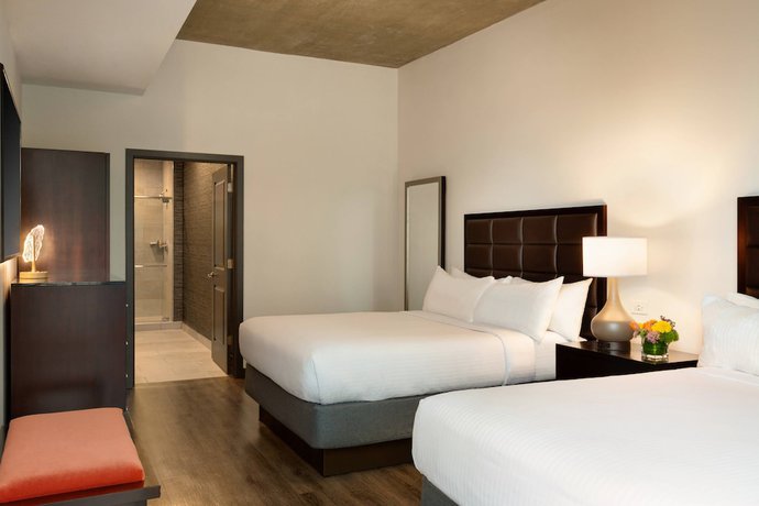 Imagen de la habitación del Hotel Twelve Downtown, Autograph Collection. Foto 5
