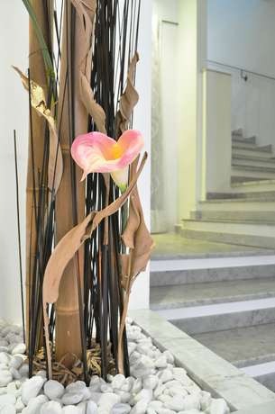 Imagen de los interiores del Hotel Twenty Nine. Foto 10