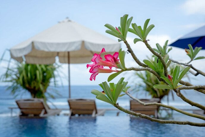 Imagen de la piscina del Hotel Twilight Ceningan. Foto 38