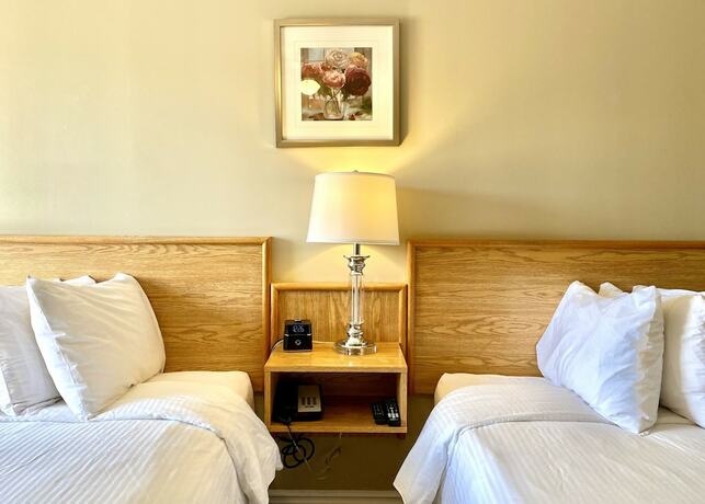 Imagen de la habitación del Hotel Twilight Country Motel. Foto 16