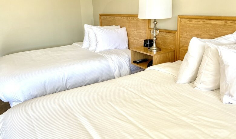 Imagen de la habitación del Hotel Twilight Country Motel. Foto 18