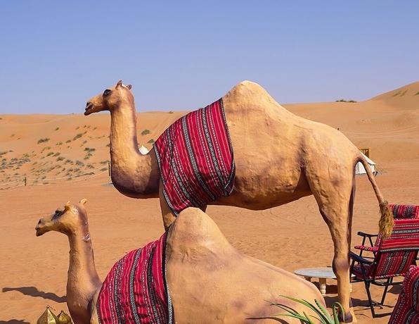 Imagen de los interiores del Hotel Twilight dunes By Miracle Oman. Foto 9
