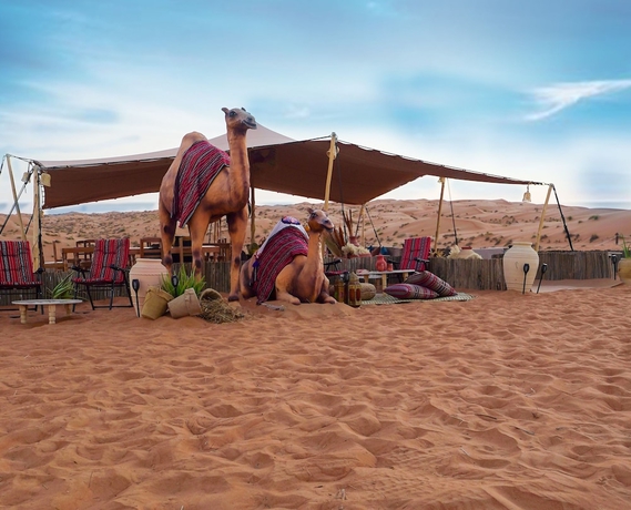 Imagen de los interiores del Hotel Twilight dunes By Miracle Oman. Foto 16