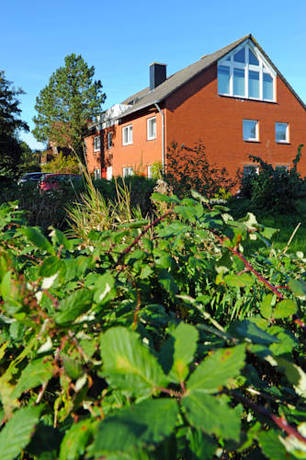 Imagen de la habitación del Hotel Twilling. Foto 7