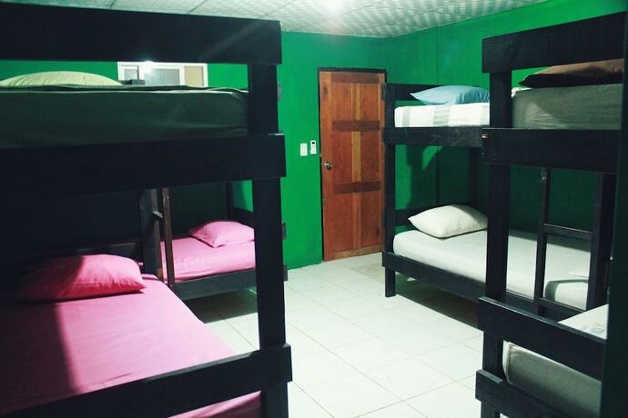 Imagen de la habitación del Hotel Twin Fin Plaza. Foto 14