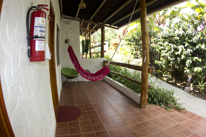 Imagen de la habitación del Hotel Twin Galapagos. Foto 13