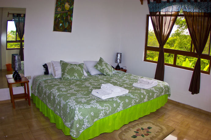 Imagen de la habitación del Hotel Twin Galapagos. Foto 16