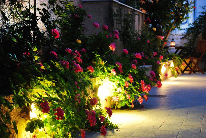 Imagen general del Hotel Twin House. Foto 4