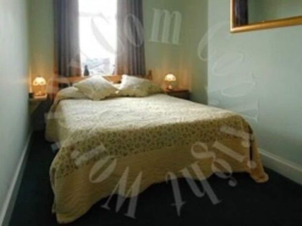 Imagen de la habitación del Hotel Twin Lions. Foto 2