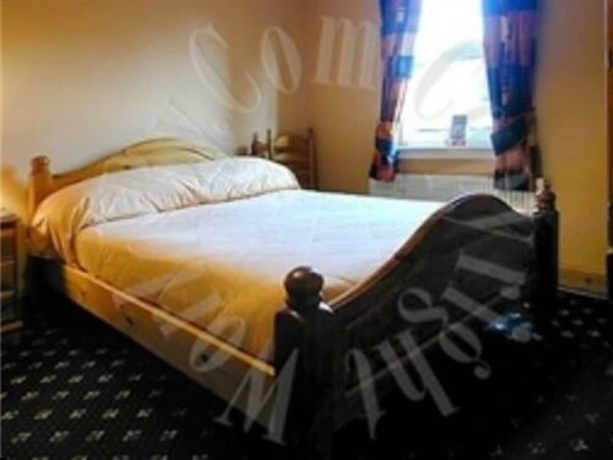 Imagen de la habitación del Hotel Twin Lions. Foto 10