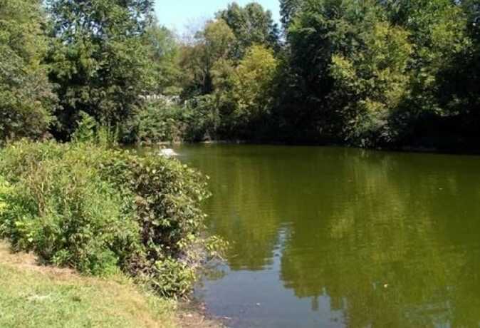 Imagen general del Hotel Twin Mills Rv Resort. Foto 12