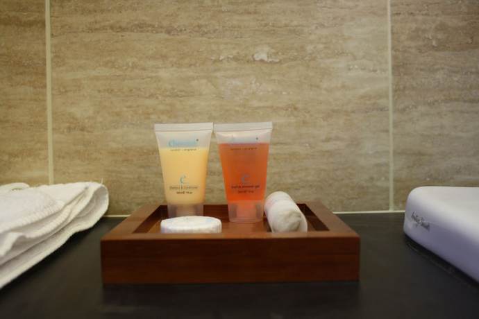 Imagen de la habitación del Hotel Twin Oaks. Foto 3