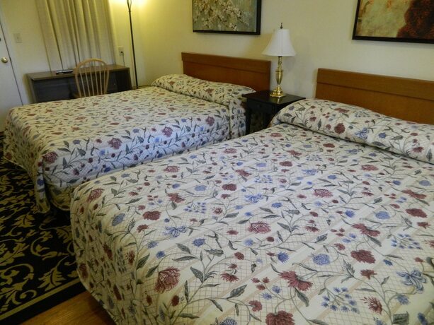 Imagen de la habitación del Hotel Twin Oaks Motel. Foto 17