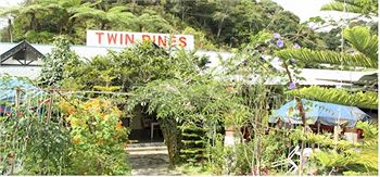 Imagen del bar/restaurante del Hotel Twin Pines. Foto 5