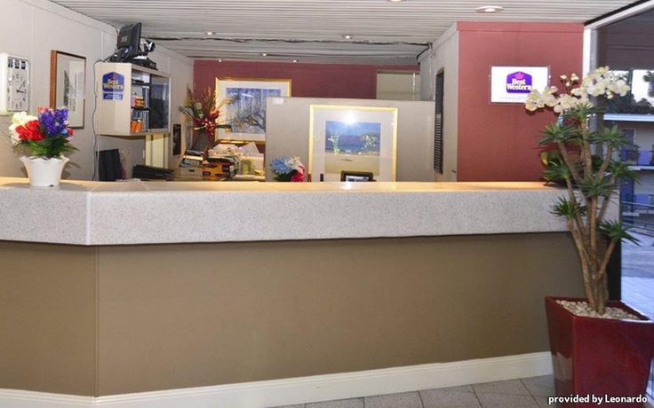 Imagen general del Hotel Twin Towers Inn. Foto 5
