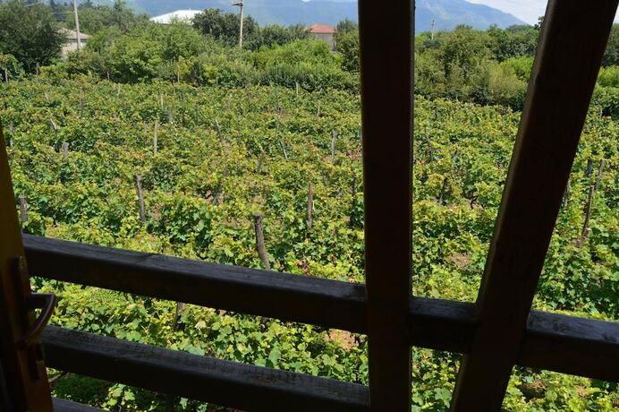 Imagen general del Hotel Twins Wine Cellar. Foto 2