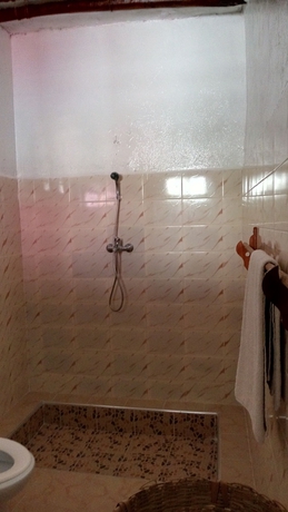Imagen de la habitación del Hotel Twisted Palms Lodge and Restaurant. Foto 14