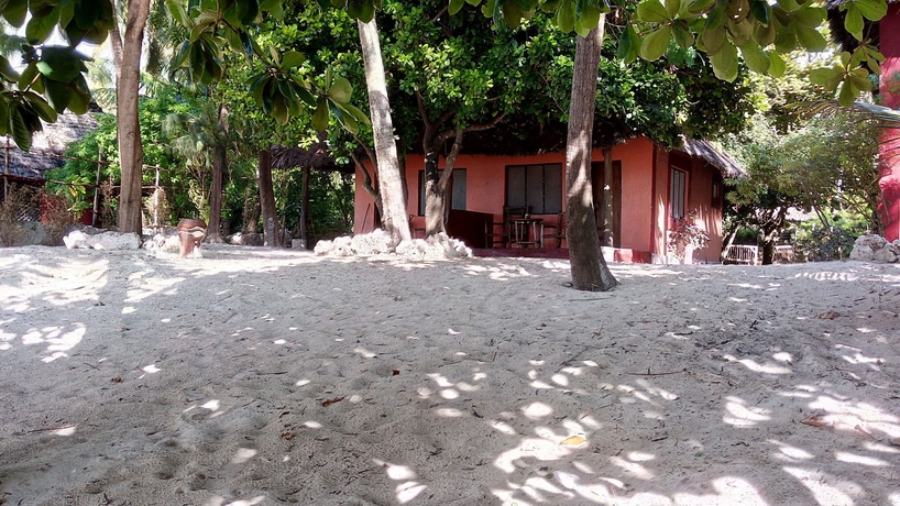 Imagen de los exteriores del Hotel Twisted Palms Lodge and Restaurant. Foto 15