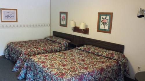 Imagen de la habitación del Hotel Two Rivers Lodge. Foto 3