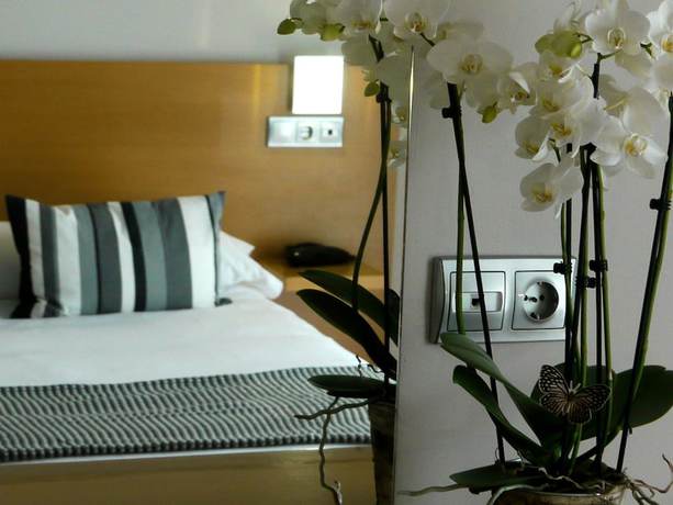 Imagen de la habitación del Hotel Txintxua. Foto 8