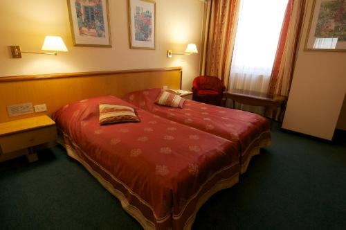 Imagen de la habitación del Hotel Tygyn Darkhan. Foto 9