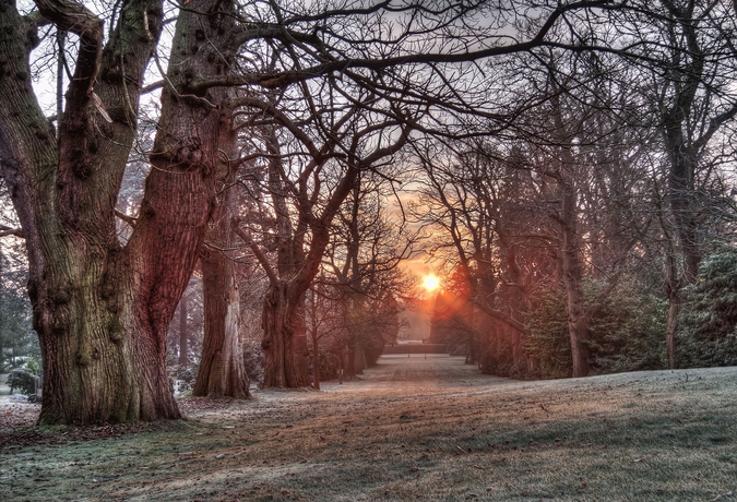 Imagen de los exteriores del Hotel Tylney Hall. Foto 13