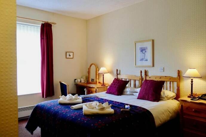 Imagen general del Hotel Tyn-y-Coed. Foto 2