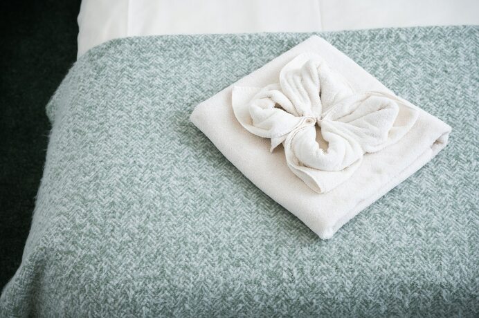 Imagen general del Hotel Tyn-y-Coed. Foto 4