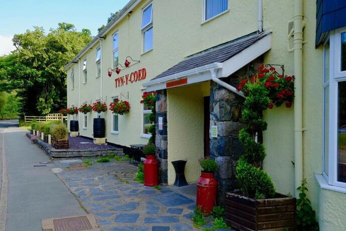 Imagen general del Hotel Tyn-y-Coed. Foto 5