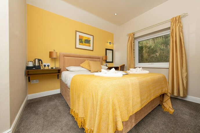 Imagen general del Hotel Tyn-y-Coed. Foto 10