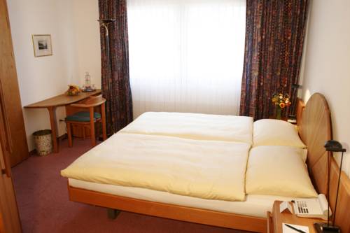 Imagen general del Hotel Typically Swiss Altana. Foto 1