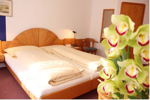 Imagen de la habitación del Hotel Typically Swiss Altana. Foto 5