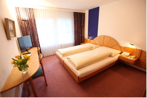 Imagen de la habitación del Hotel Typically Swiss Altana. Foto 12