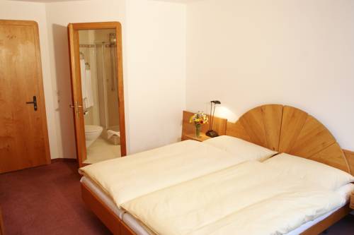 Imagen de la habitación del Hotel Typically Swiss Altana. Foto 15