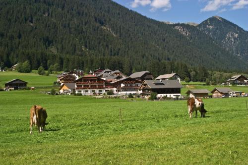Imagen general del Hotel Tyrol, Pichl - Colle. Foto 5