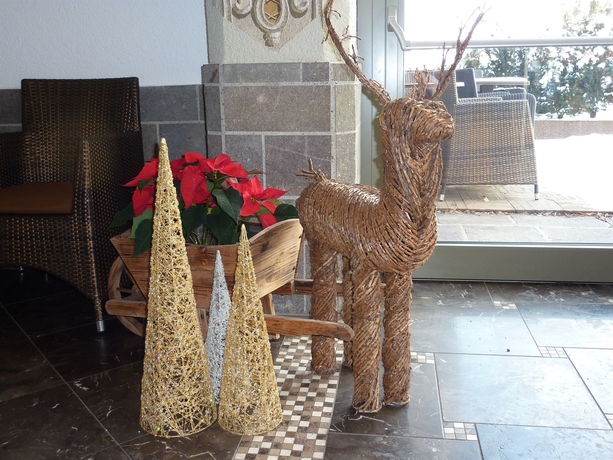 Imagen de los interiores del Hotel Tyrolis. Foto 14