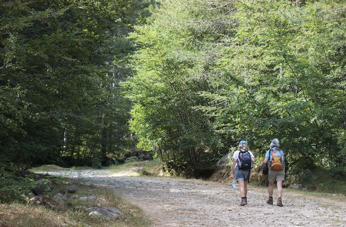 Imagen general del Hotel U Castellu. Foto 1
